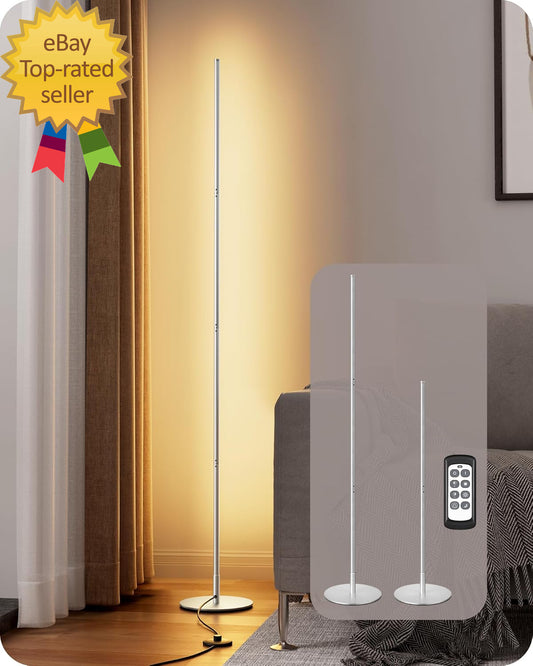 LED Standing Floor Lamp Dimmable Corner Standing Light with Remote